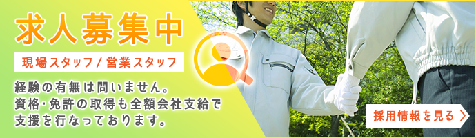 採用情報